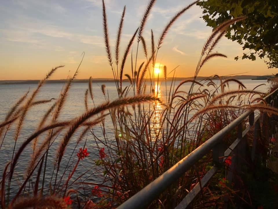 Ferienwohnung Toskana Mit Schwimmbad Und Sauna Bad Bergzabern Bagian luar foto